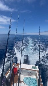 1.8K views · 14 reactions | Trolling for Bluefin Tuna in SoCal! : @wetwillyfishing #bluefintuna #tunafishing #trollingfishing #wetwillyfishing #socalfishing #fishing #sportfishing #fishingtime #fishingdaily #fishinglife | Promar & Ahi USA | Facebook