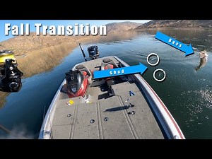 Catching Bass Busting on Shad - Fall Bass Fishing Tips