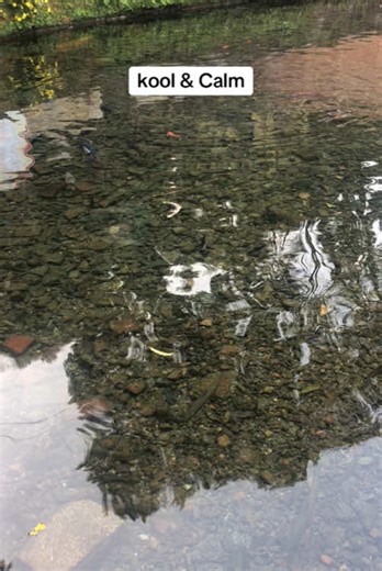 Kindor (@kindorlam)’s videos with original sound - Kindor