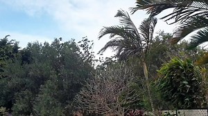 3.9K views · 23 reactions | The wind is picking up in Coffs Harbour! What's it like where you are? | ABC Coffs Coast | Facebook