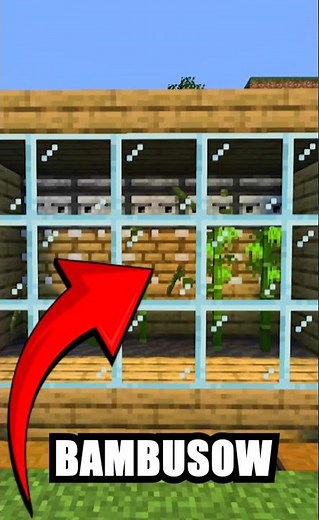Farma bambusów w mniej niż 30s MINECRAFT