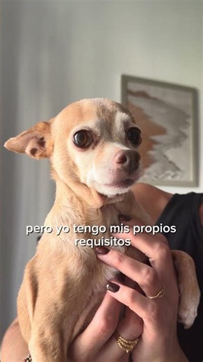 Os presentamos...el Perfil de Usuario 💥