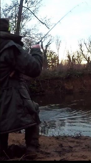 Winter Chub bites...proper fishing.