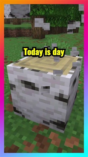 Challenge | 1 Subscribe = 4 holes to Bedrock | Day 95