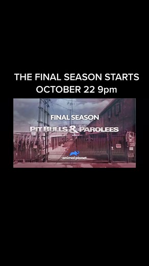 THE FINAL SEASON OF PIT BULLS & PAROLEES AIRS OCTOBER 22 9pm. You watch animal planet donates to our rescue🤍 #fyp #pitbullsofinstagram #pitbullsandparolees #animalplanet