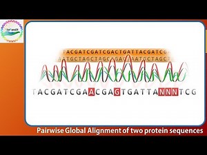 Pairwise Global Alignment of protein sequences