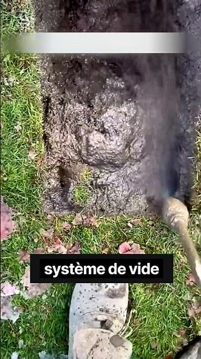 Voici comment creuser le sol correctement 😳