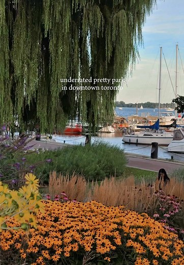 Toronto Music Garden: A Peaceful Waterfront Escape
