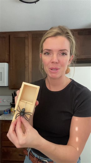 An innocent prank never hurt anyone. ;) #prankwars #gotem #funny #spider #amazonfind