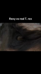 #trex #fight #fyp | tyrannosaurus rex