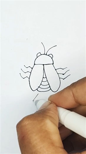 easy firefly drawing| how to draw a firefly