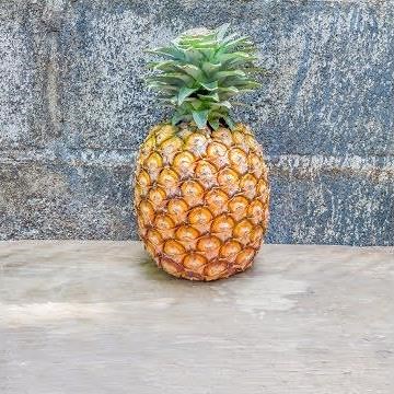 Wissenswertes über die Ananas