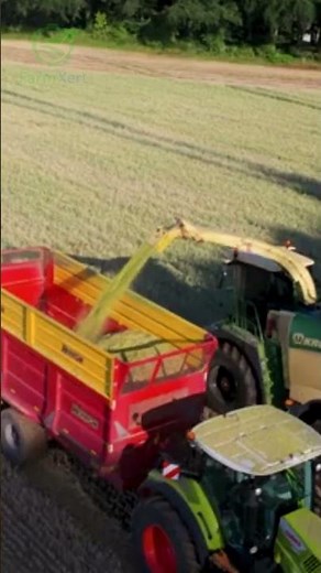 Krone Big X 1180 – Whole Crop Wheat Harvest