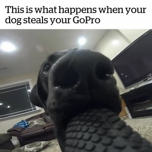 "See ya!" 😂👋 Credit: ViralSnare | VT