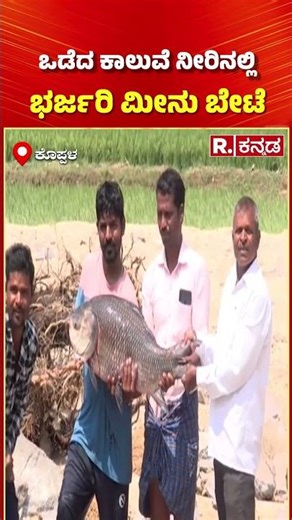 Tungabhadra Canal Breach Causes Flooding: ಒಡೆದ ಕಾಲುವೆ ನೀರಿನಲ್ಲಿ ಭರ್ಜರಿ ಮೀನು ಬೇಟೆ | Fishing