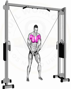 2K views · 68 reactions | #fullworkout #fitness #workout #love #exercise #fitnessgoals #routines #fit | Full workout | Facebook