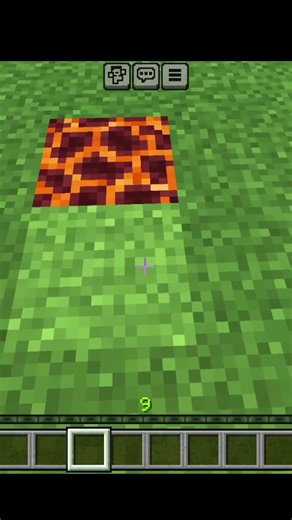 Minecraft damage test 😱