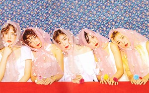 【Red Velvet】redvelvet 红贝贝MV合集持续更新中
