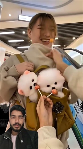 C: The Best and Worst Programming Language