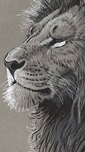 🦁 A Lion Comes to Life! 🎨 A time-lapse of the entire process. Want to draw like this? Link in bio for tutorials! 👩‍🎨👨‍🎨 🔥#DrawingOfTheDay #ArtTutorial #TikTokArt #ArtistsOfTikTok #DailyArt #LearnToDraw #WildlifeArt #fyp #sketchbook#penandink #inktok #arttiktok #aaronblaise 🔥
