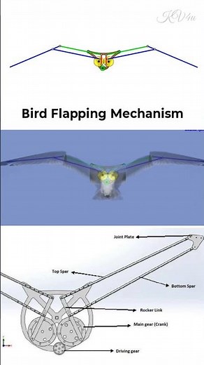 bird flapping mechanism #mechanism #engineering #bird #flying