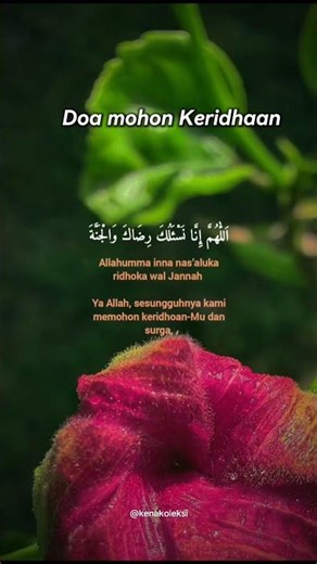 Doa mohon Redha #doa #zikir #newvideo #islamicshorts #trending #friday #motivation #spiritual #viral