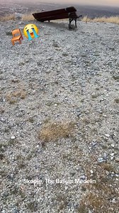 7.4K views · 36 reactions | #Skopje | History-of-Macedonia.GR | Facebook