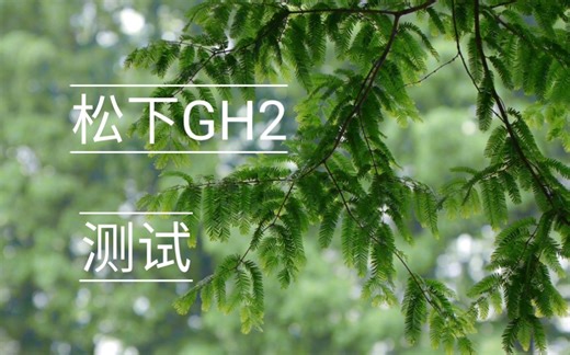 松下GH2破解码率测试视频样片