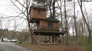 Monday, May 27th: The Treehouse Master