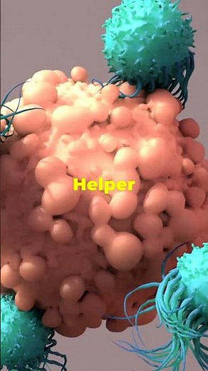 Adaptive Immunity explained | Part 3 Immune System #facts #science #shorts