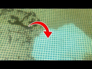 How to Clean a Pool Without a Vacuum Cleaner and Filter