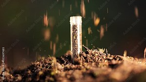 taking a soil sample for a soil test in a field. Testing carbon sequestration and plant health