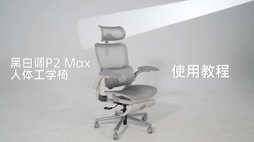 黑白调P2Max使用教程