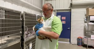 KCAS volunteer who walked six miles a day gifted bus passes