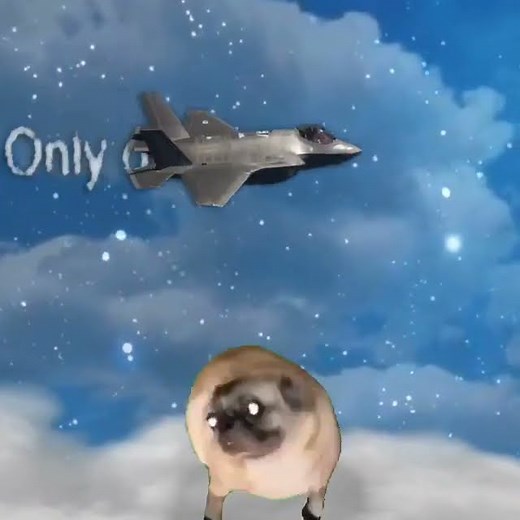 fuc it pug vibin to sh boom