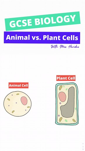 Exam Tips: Animal Cell vs. Plant Cell Structures Revealed!