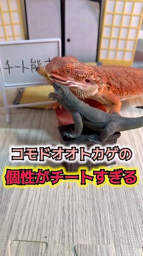 Komodo dragons have an excessive number of "cheat-level" quirks [Fun Fact]