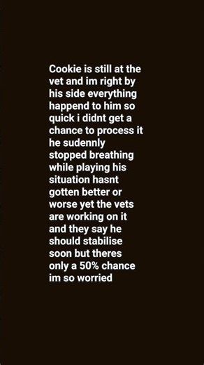 update on cookies situation 21st March #sickcat #pleasepray #shortvideo