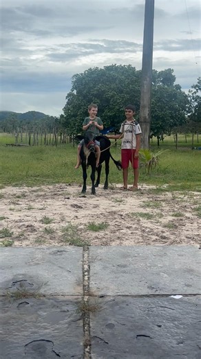 Boizinho chama atenção da molecada kkk #agro #agriculture #pecuaria #vidanaroca #roca