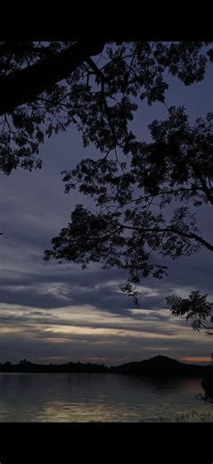 Understanding Islamic Prayer Practices for Muslims