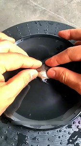 Fish breading | Man Of Principles