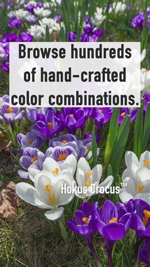 Winter is Over—Spring 2027 Starts Now