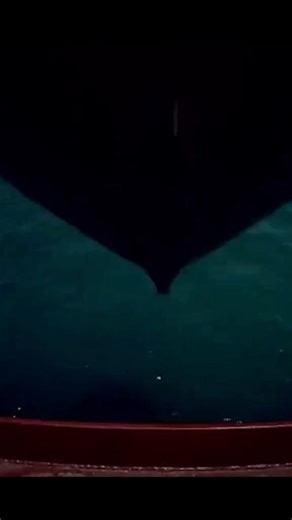 1.9K views · 53 shares | In a Free-Fall Lifeboat What is The...