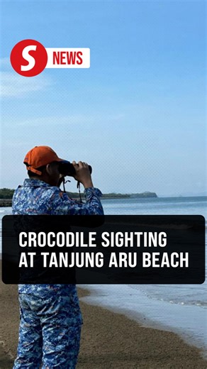 Crocodile sighting at Tanjung Aru beach prompts urgent safety measures