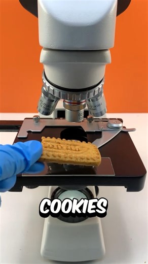 Cookies under the microscope 🔬😱