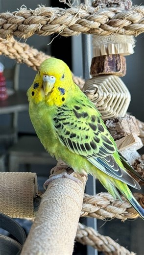 17K views · 509 reactions | It dawned on me recently that I may not...