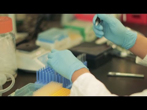 Research Advancements in Multiple Sclerosis