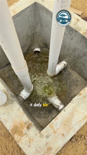How much tank water should you remove daily in Biofloc fish farming? 🐟