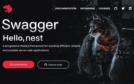 【NestJS】Swagger - 分组及接口说明（tags & summary）