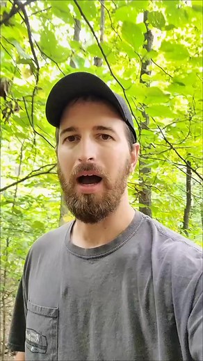 Natural poison ivy remedy - Jewelweed 🌱 #fyp #survival #bushcraft #nature #outdoors | Bushcraft Life